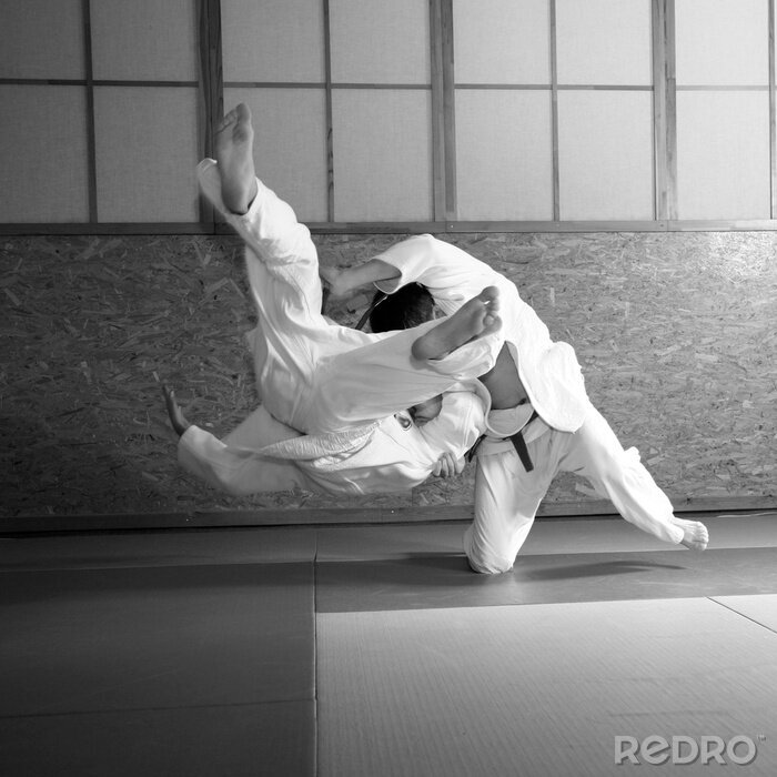 Bild Sport-Judo-Schau