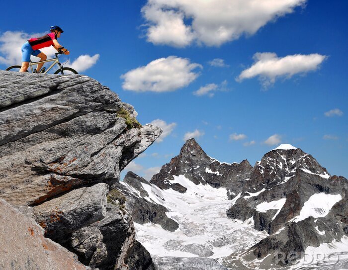 Bild Sportliche Quad-Fahrt 3D