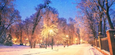 Bild Stadtpark im Winter