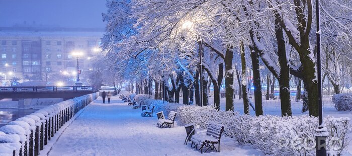Bild Stadtpark im Winter