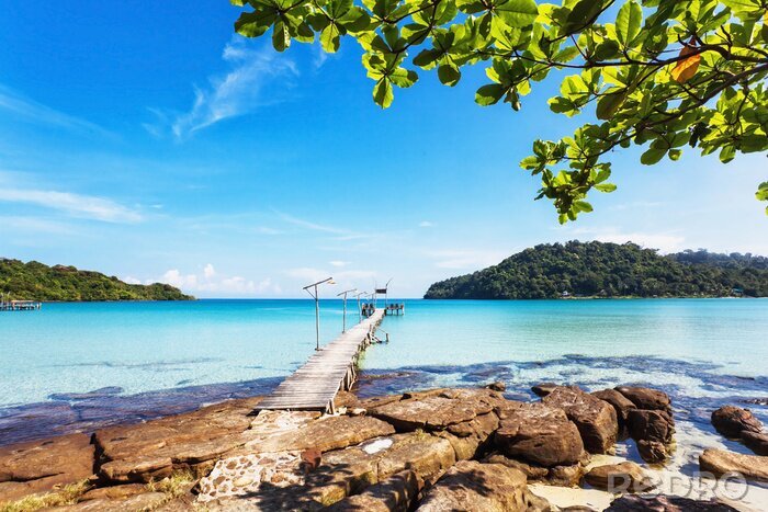 Bild Steg an paradiesischer Bucht