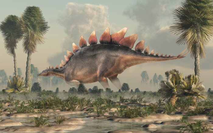 Bild Stegosaurus, was a thyreophoran dinosaur. An herbivore, it is one of the best known dinosaurs of the Jurassic period. Here, a grey and brown one is standing in profile in a wetland. 3D Rendering. 