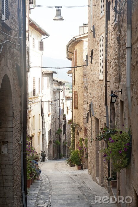 Bild Steile Gasse mit grünen Akzenten