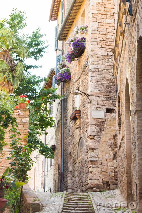 Bild Steile Gasse mit violetten Blumen