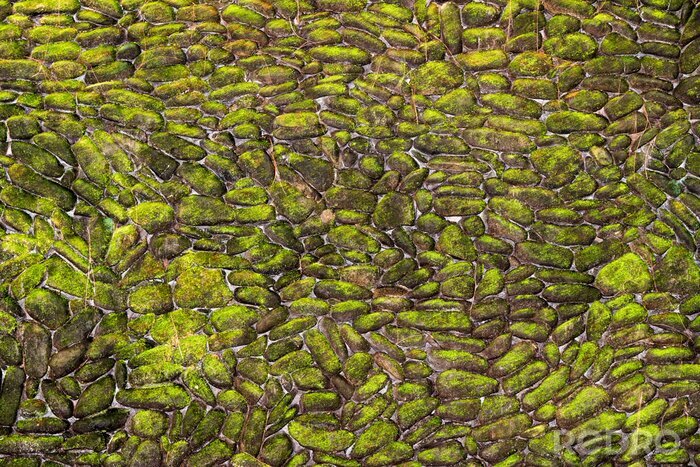 Bild Steine an der Wand mit Moos bedeckt