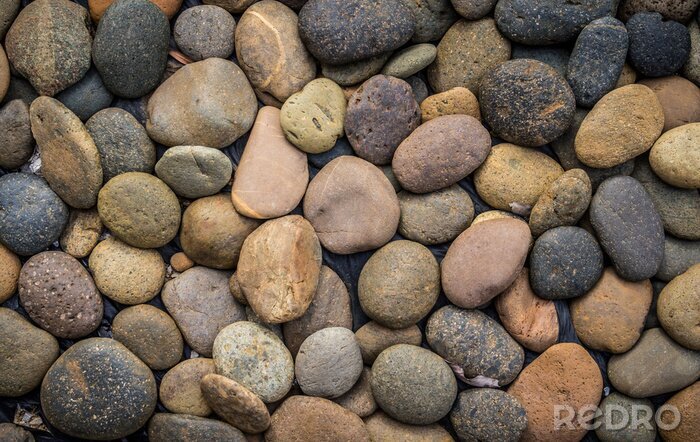 Bild Steine aus dem Fluss