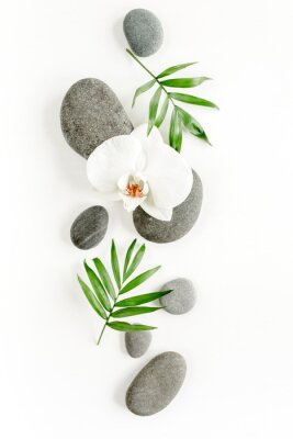 Steine und Orchidee Zusammensetzung mit Blättern