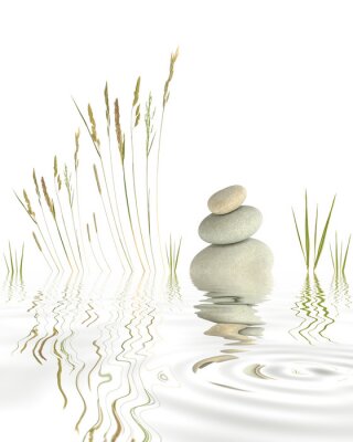 Steine und Wassergräser auf einem See