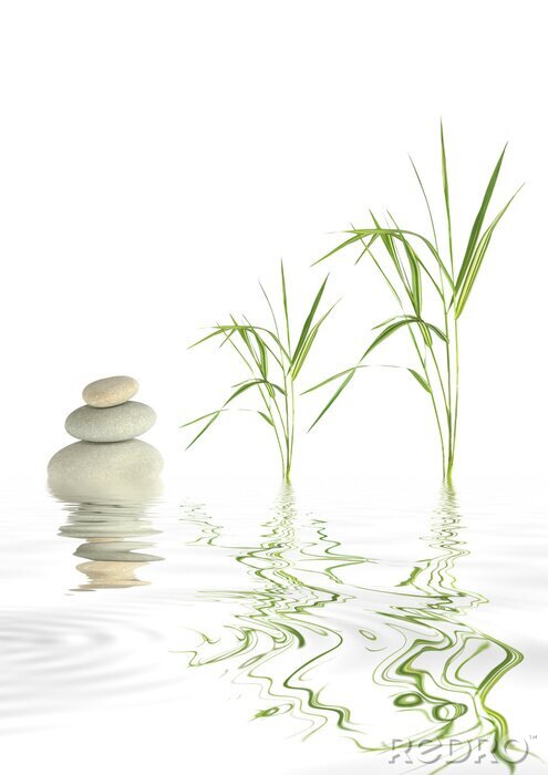 Bild Steine Zen und Bambusgras auf der Wasseroberfläche