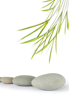 Steine Zen und ein Zweig von feinem Gras