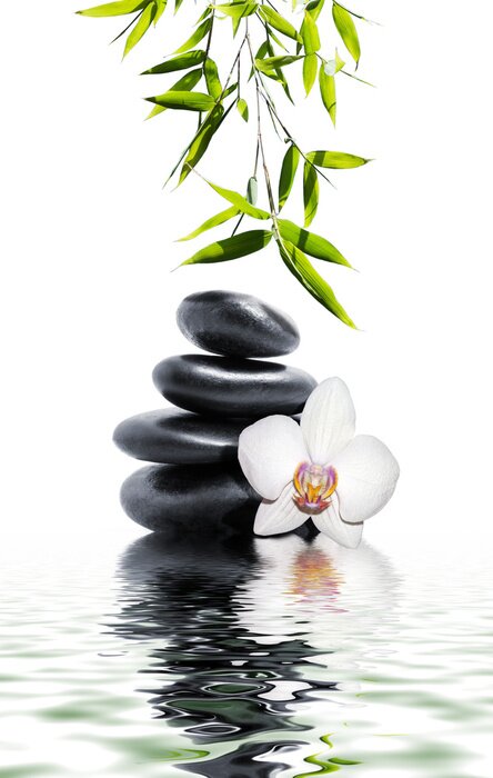 Bild Steine Zen und Orchidee auf Wasser