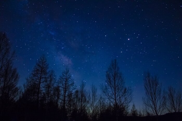 Bild Sterne direkt über dem Wald