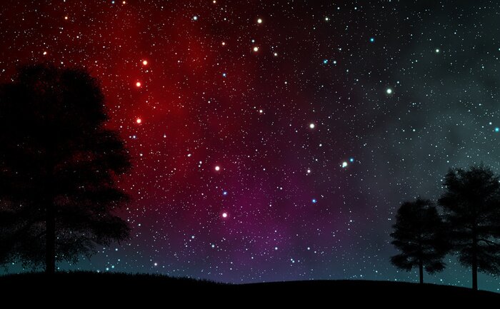 Bild Sterne unter den Bäumen