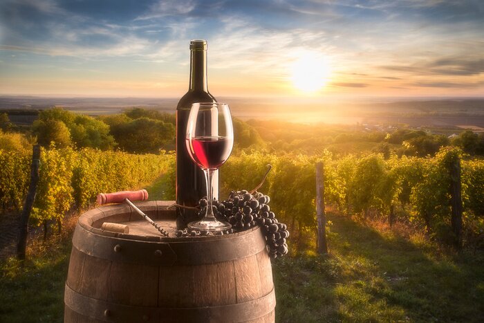 Bild Stillleben mit Weinberg im Hintergrund