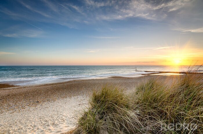 Bild Strand und Dünnen bei Sonnenuntergang