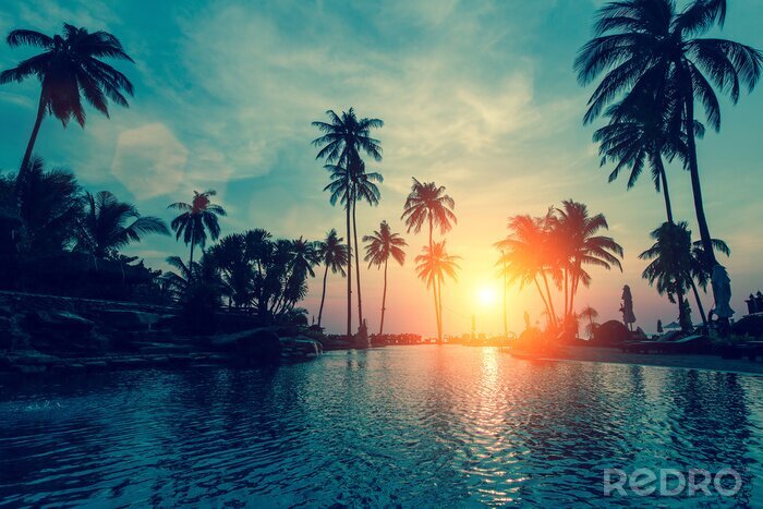 Bild Strand und tropischer Sonnenuntergang