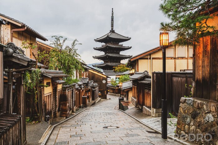 Bild Straßen und Tempel in Tokyo
