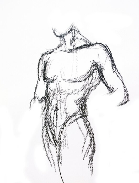 Bild Studie der männlichen Körperskizze