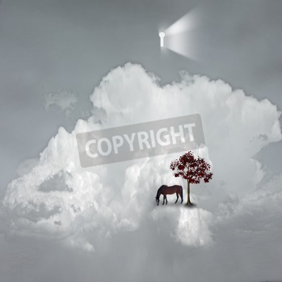 Bild Surrealismus in den Lüften