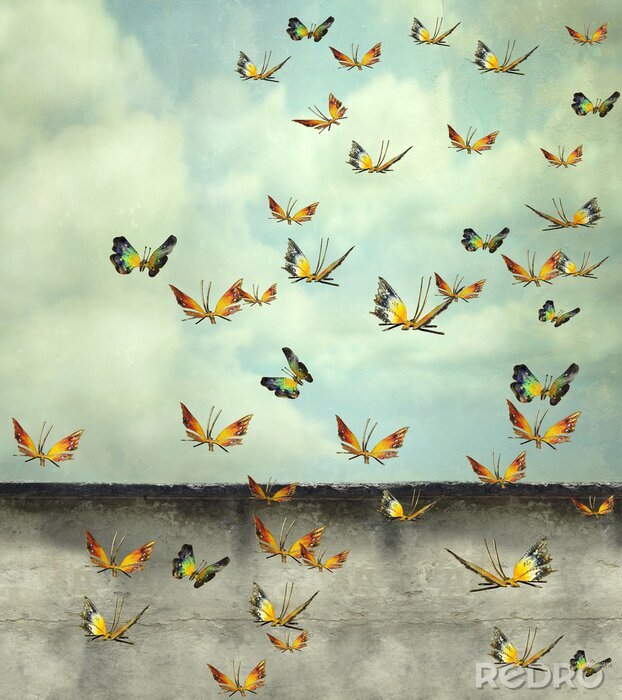 Bild Surrealismus Schmetterlinge am Himmel