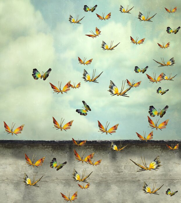 Bild Surrealismus Schmetterlinge am Himmel