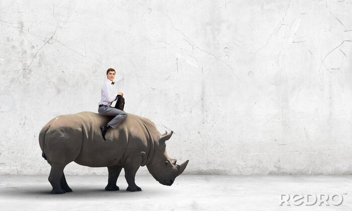 Bild Surrealistische Reise auf Rhinozeros