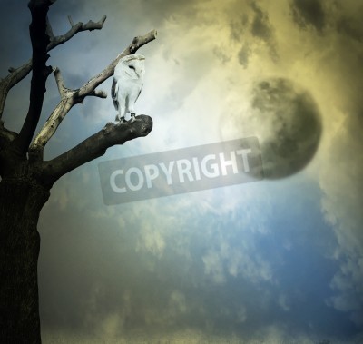 Bild Surrealistische Zukunft