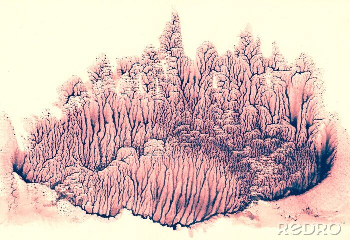 Bild Surrealistischer Wald