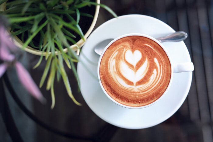 Bild Tasse neben dem Topf mit Pflanze