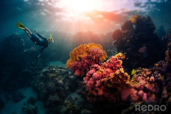 Bild Taucher Korallenriff und Sonnenstrahlen