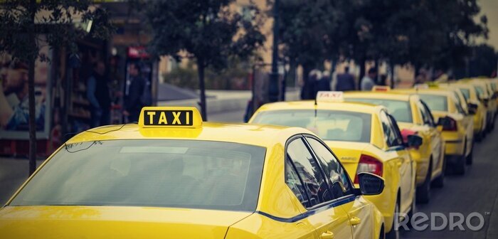 Bild Taxis in Reihe