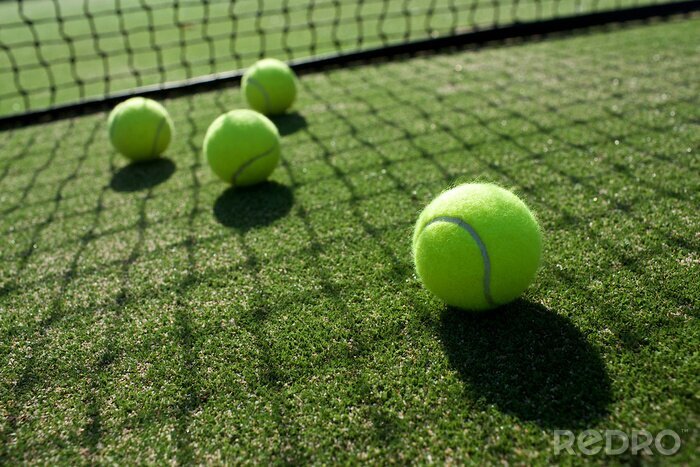 Bild Tennisbälle auf grasbewachsenem Court