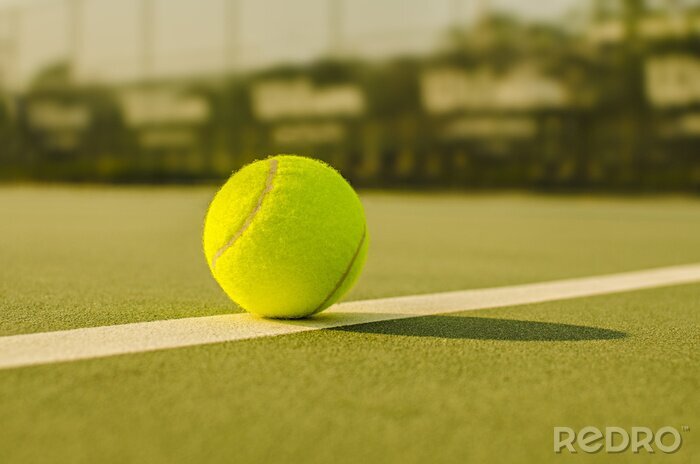 Bild Tennisball auf grünem Tennisplatz