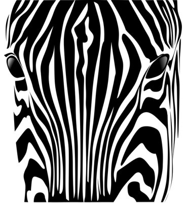 Test zebra