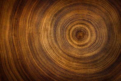 Textur des geschnittenen Holzes