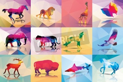 Bild Tiere bunte Grafiken geometrische Muster