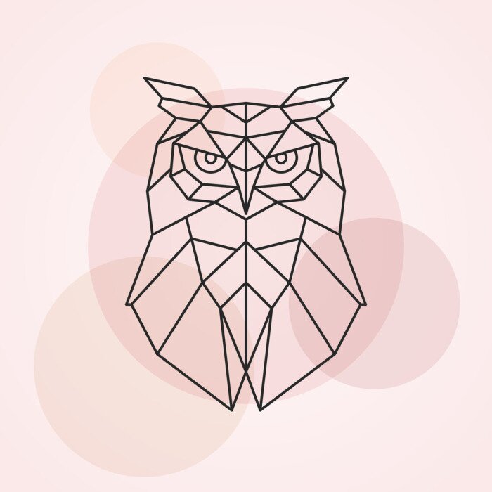 Bild Tiere geometrische Eule und Kreise