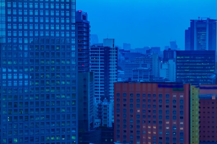 Bild Tokyo erwacht zum Leben