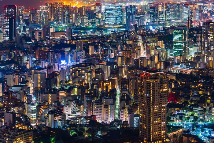 Bild Tokyo Skyline bei Nacht 3D