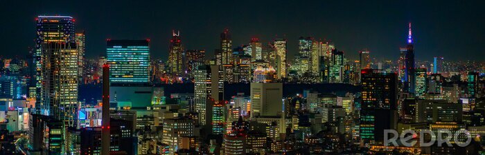 Bild Tokyo Skyline bei Nacht