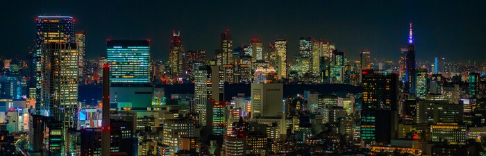 Bild Tokyo Skyline bei Nacht
