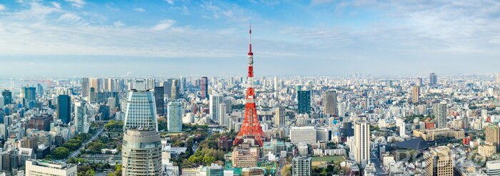 Bild Tokyo Tower mit Tokio Panorama