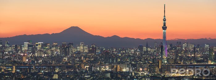 Bild Tokyos Landschaft in der Morgendämmerung