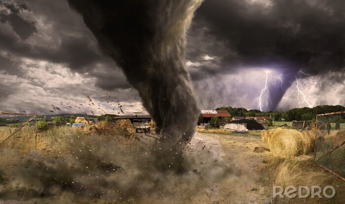 Bild Tornado auf dem Feld