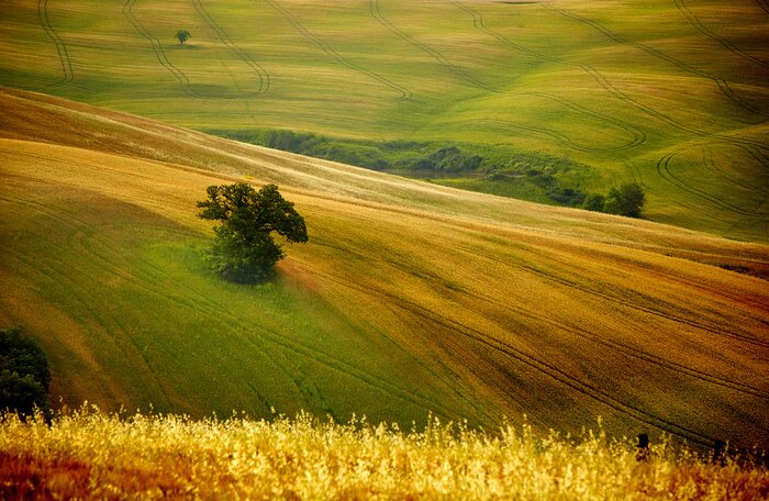 Bild Toskana Herbstinspirationen
