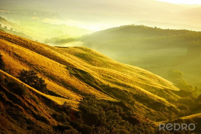 Bild Toskana Hügel in der Sonne