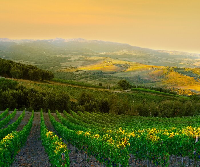 Bild Toskana sonniger Abend