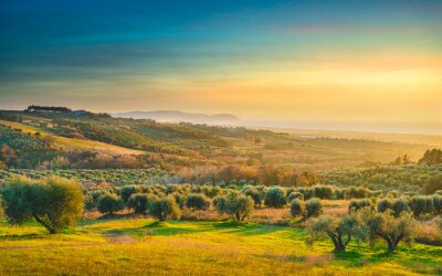 Toskana und Felder bei Sonnenuntergang