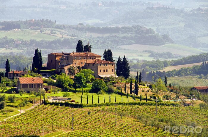 Bild Toskana und Häuser an Weinbergen