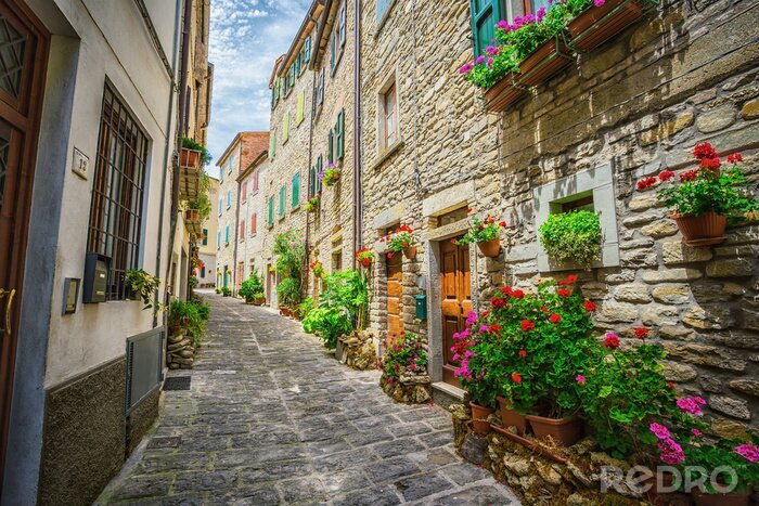 Bild Toskanische bunte Gasse